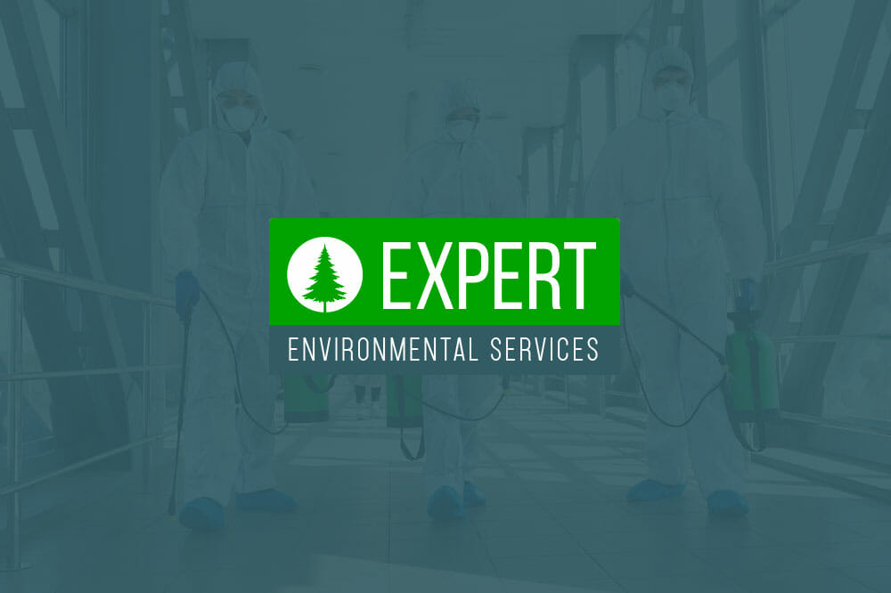 asbestos-expert-website-logo-design